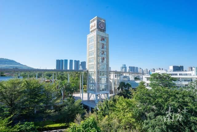 北大深圳研究生院。(图源:学校官网) 北大深圳研究生院。(图源:学校官网)